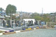 宗信寺墓地と駐車場の画像