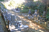 馬門山霊園 参道と墓域画像