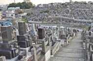 三ツ沢墓地（横浜市営）　墓地画像